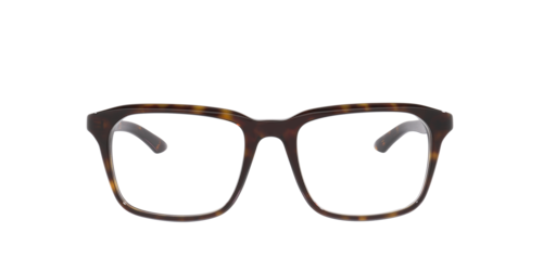 Gucci - Gg2081O, Herren, Tortoise/Black, Größe: Durchschnittlich