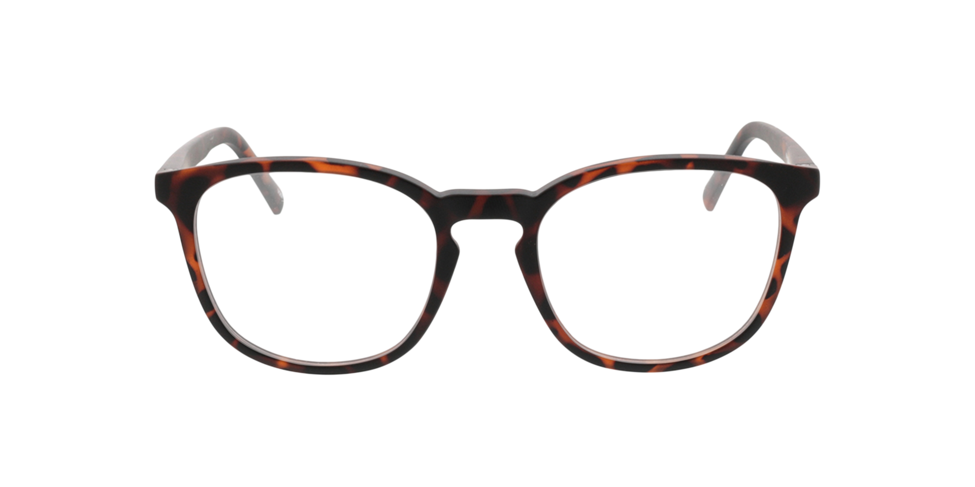 Ivy Havana KunststoffEyeglass Frames von B24, Vorderansicht