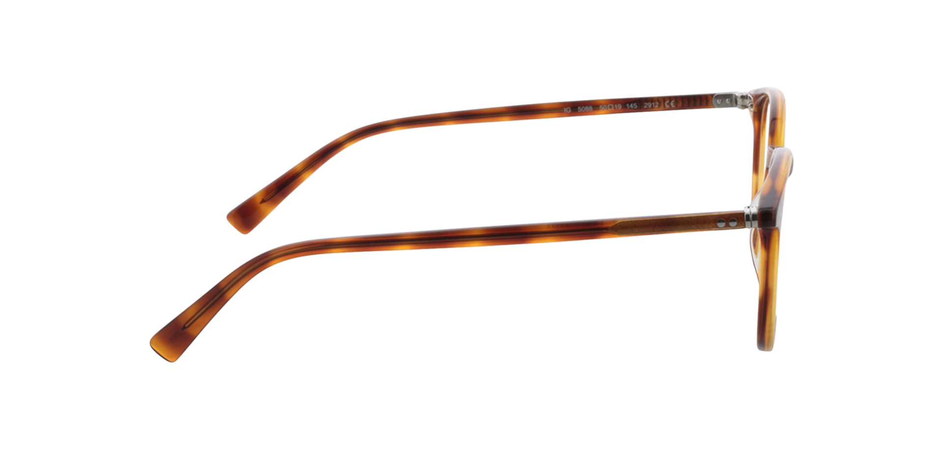 Serena Honing Havana AcetaatEyeglass Frames van B24, Zijaanzicht