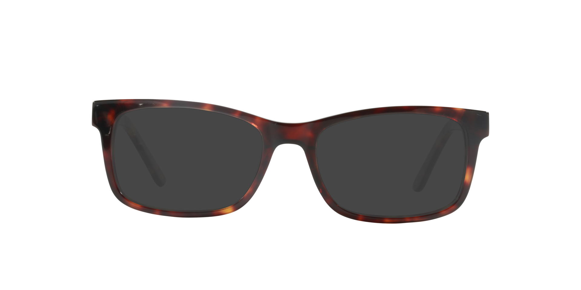 Gillian Moonlight Tortoise AcetatEyeglass Frames von B24, mit getönten Gläsern
