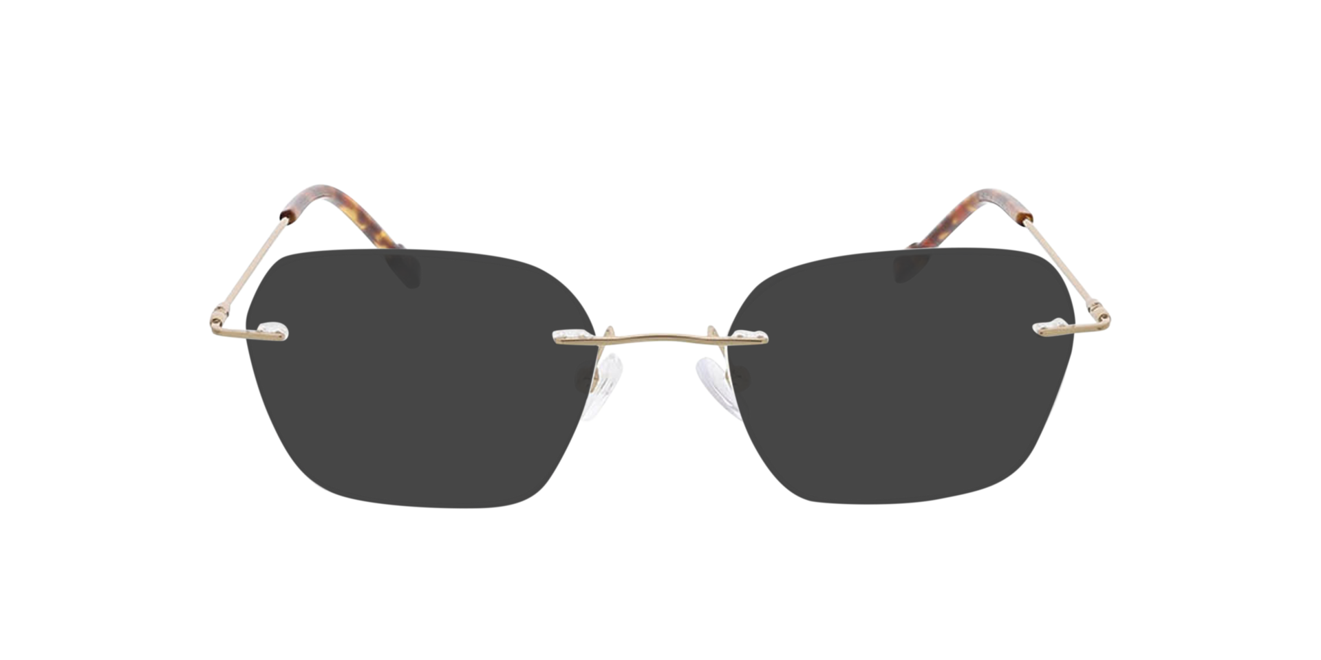 Frieda Goud MetaalEyeglass Frames van B24, met getinte lenzen