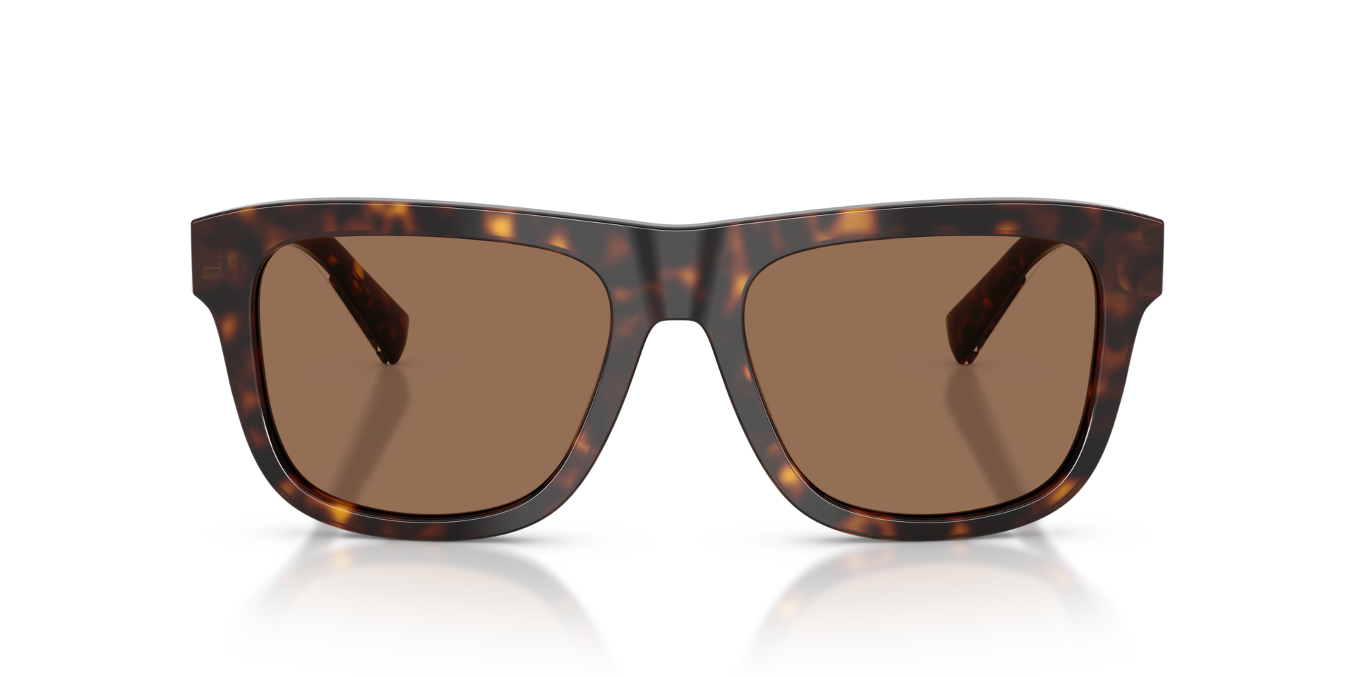 DG4545 Havana AcetatSunglass Frames von B24, Vorderansicht