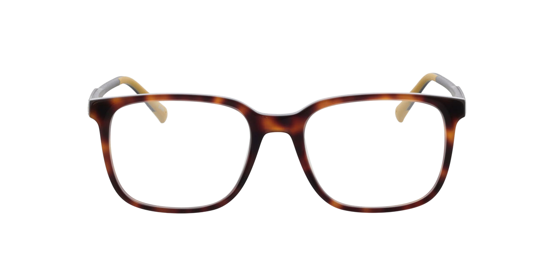 Phoenix Havana AcetatEyeglass Frames von B24, Vorderansicht