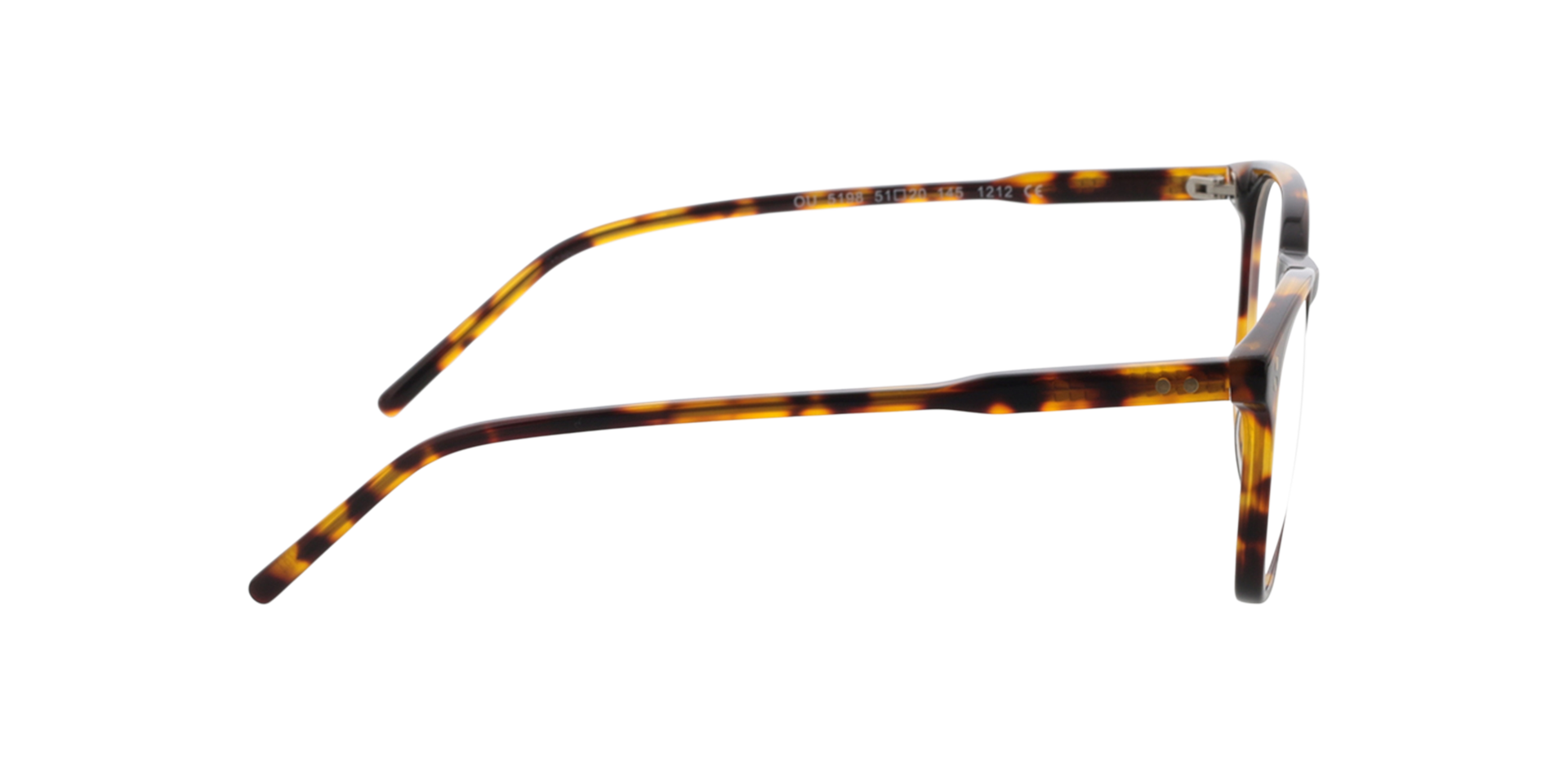 Chelsea Havana AcetatEyeglass Frames von B24, Seitenansicht