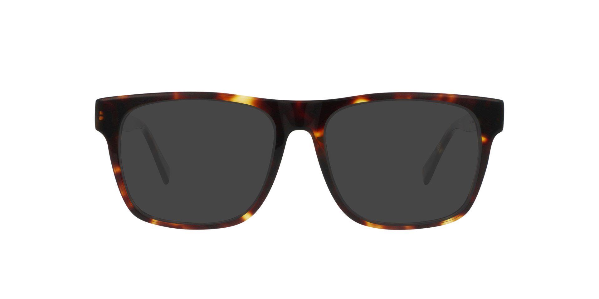 Moonlight Tortoise Toby -  Acetate Sonnenbrillen