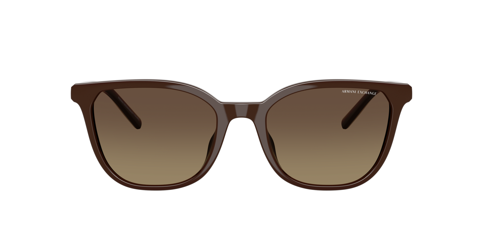 AX4168SU Dunkelbraun glänzend KunststoffSunglass Frames von B24, mit getönten Gläsern