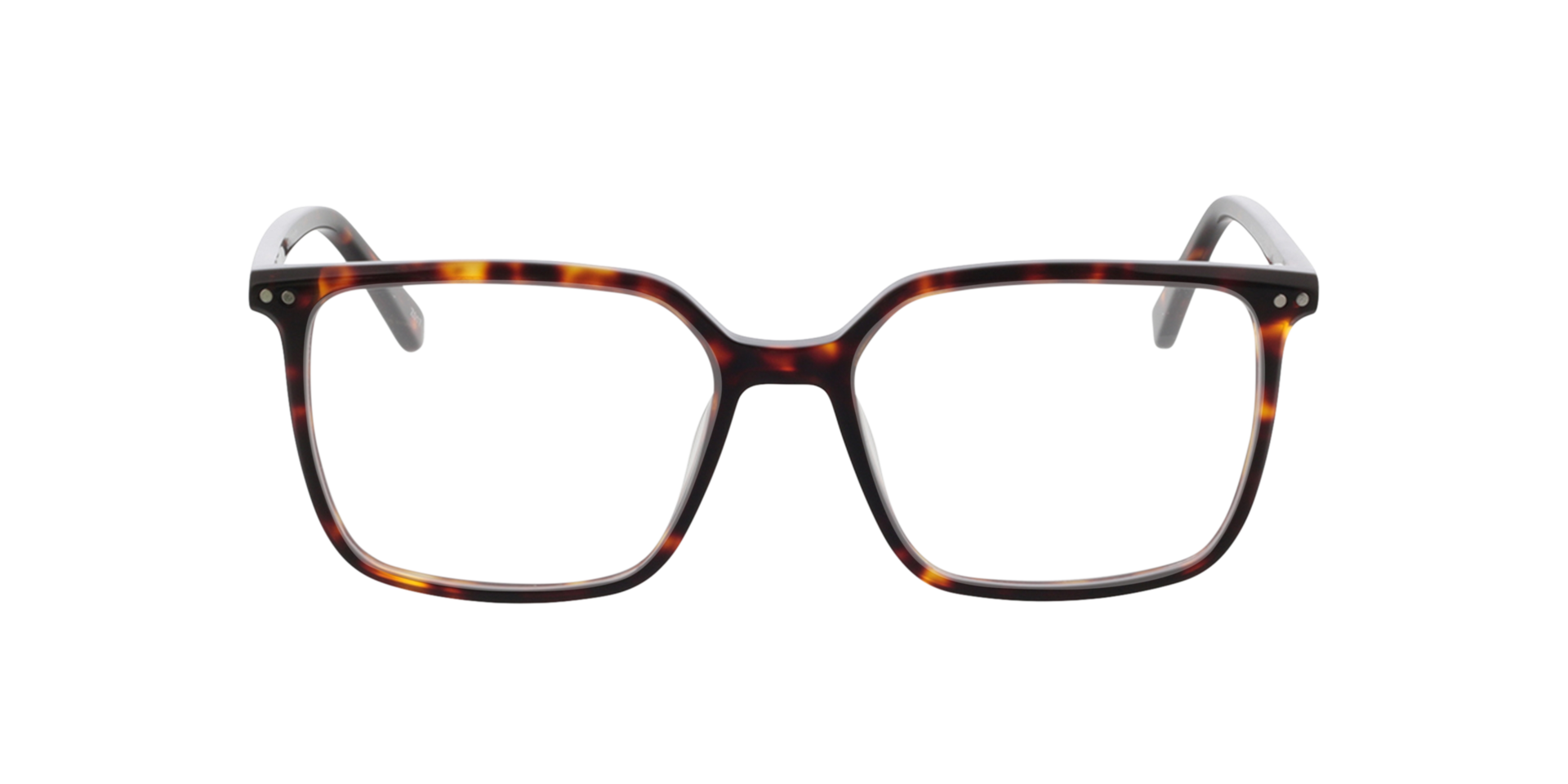 Lewis Havana gefleckt AcetatEyeglass Frames von B24, Vorderansicht