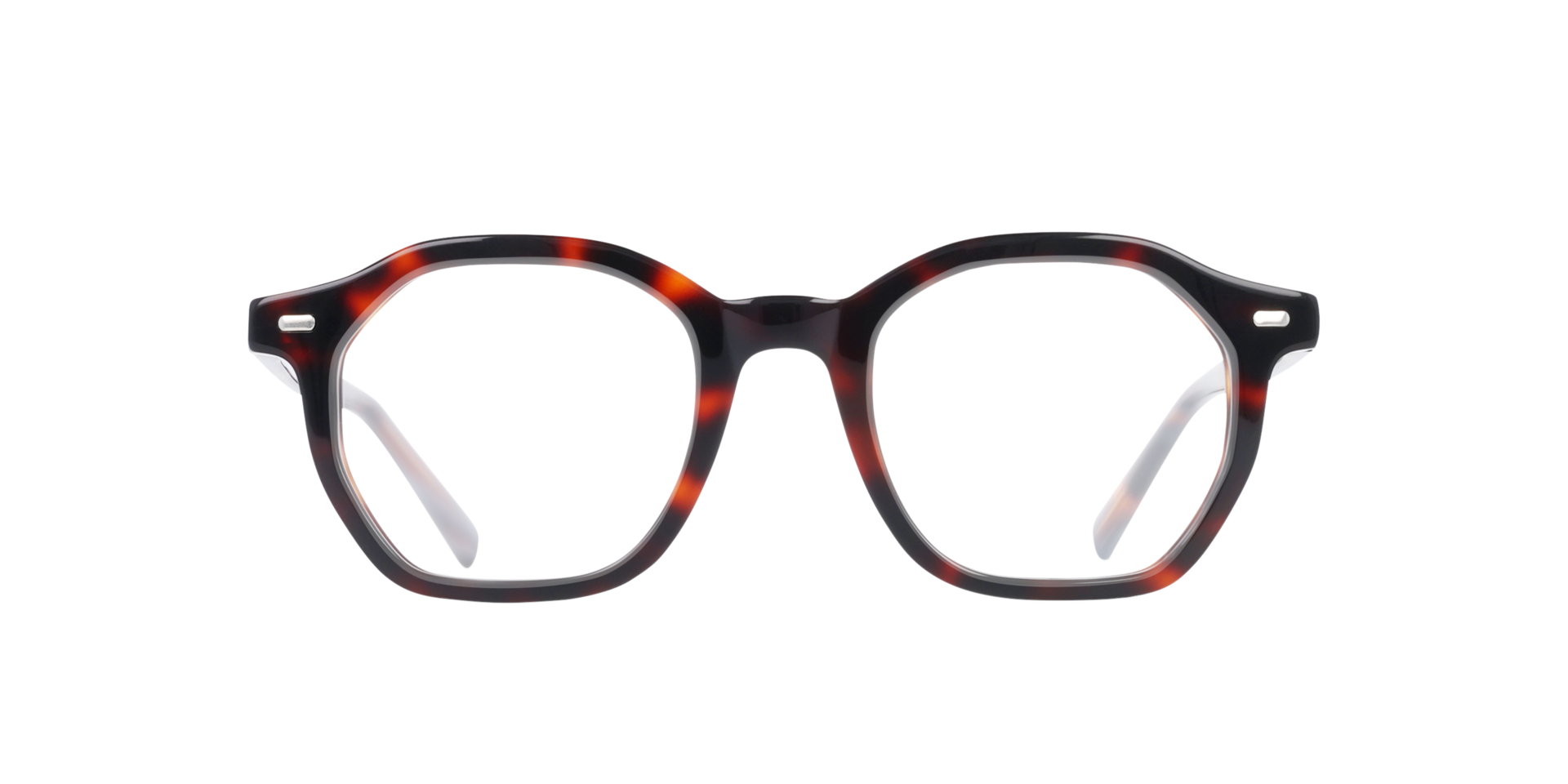 Miles Havana Braun AcetatEyeglass Frames von B24, Vorderansicht