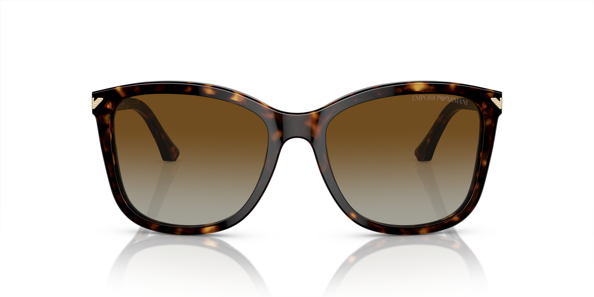EA4060 Glänzendes Havanna AcetatSunglass Frames von B24, Vorderansicht