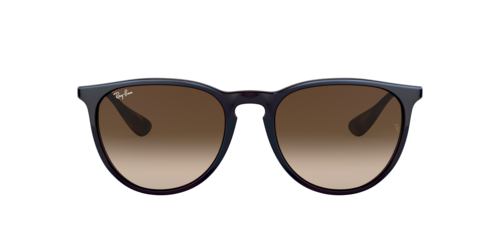Ray-Ban - RB4171, Damen, Blau/Dark Sand/Rubber Havana, Größe: Large