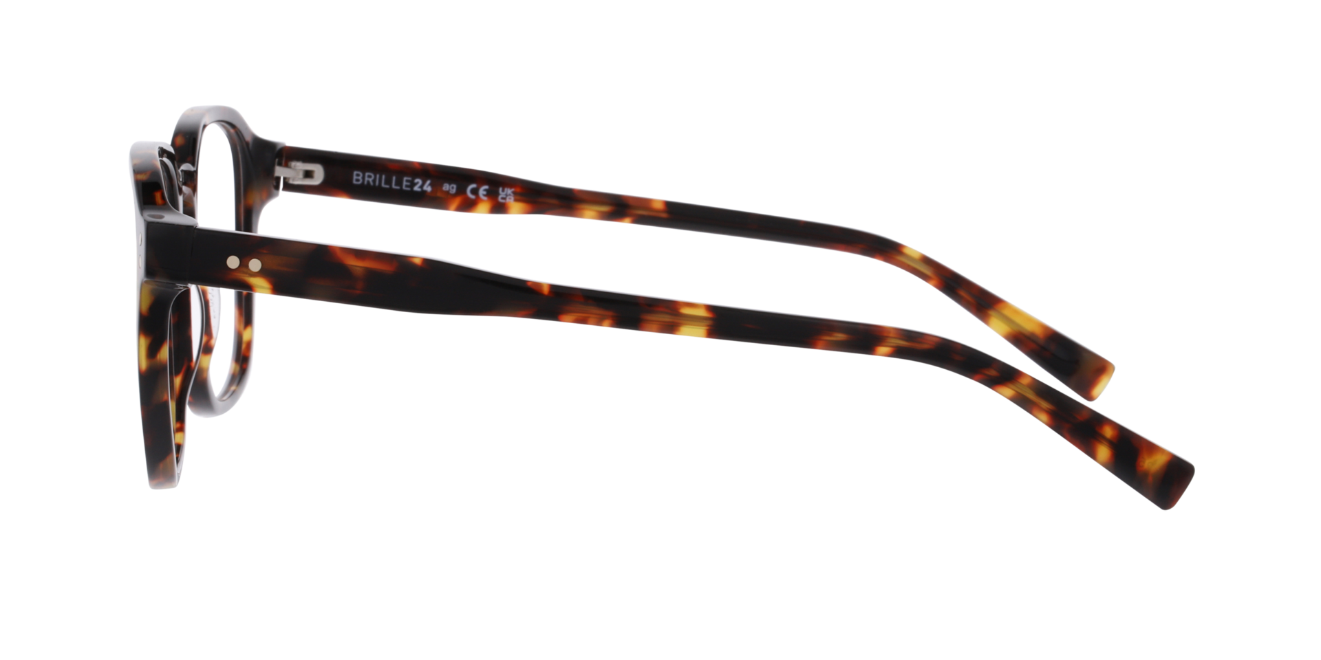 Echo Havana AcetatEyeglass Frames von B24, Seitenansicht
