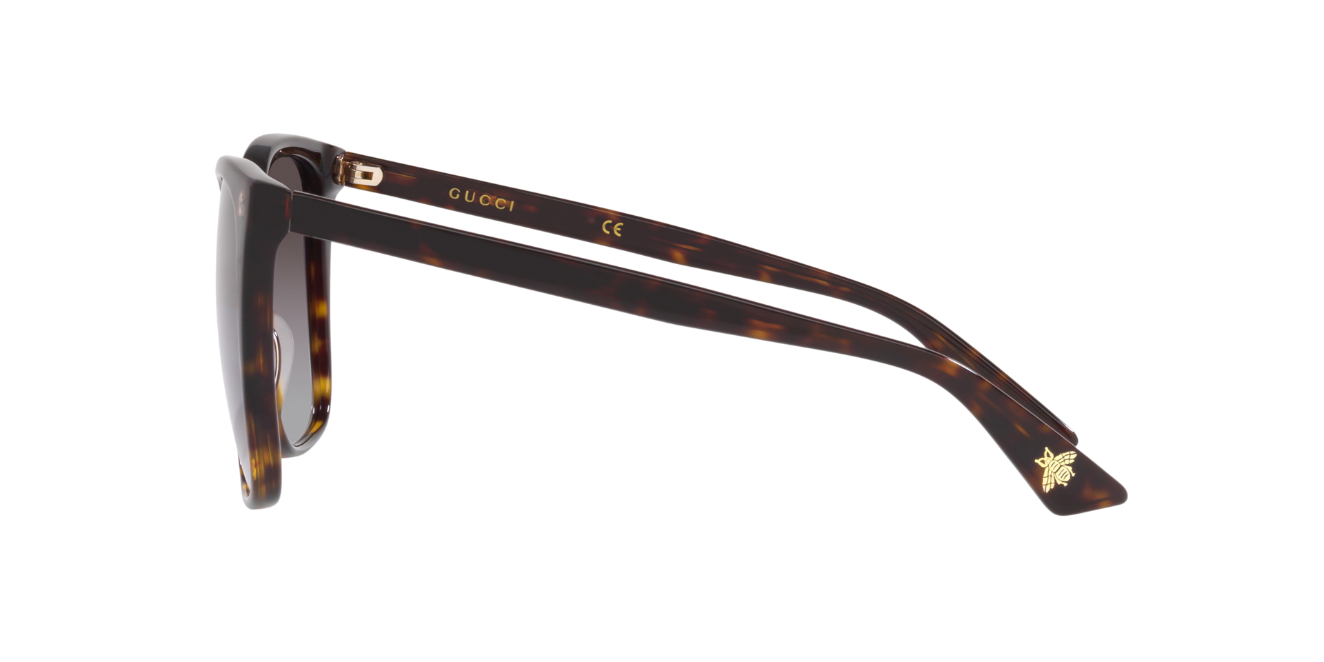 GG0022S Tortoise AcetatSunglass Frames von B24, Seitenansicht