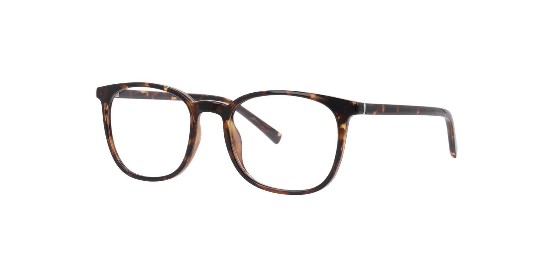 Nevada Havana KunststofEyeglass Frames van B24, Hoekweergave