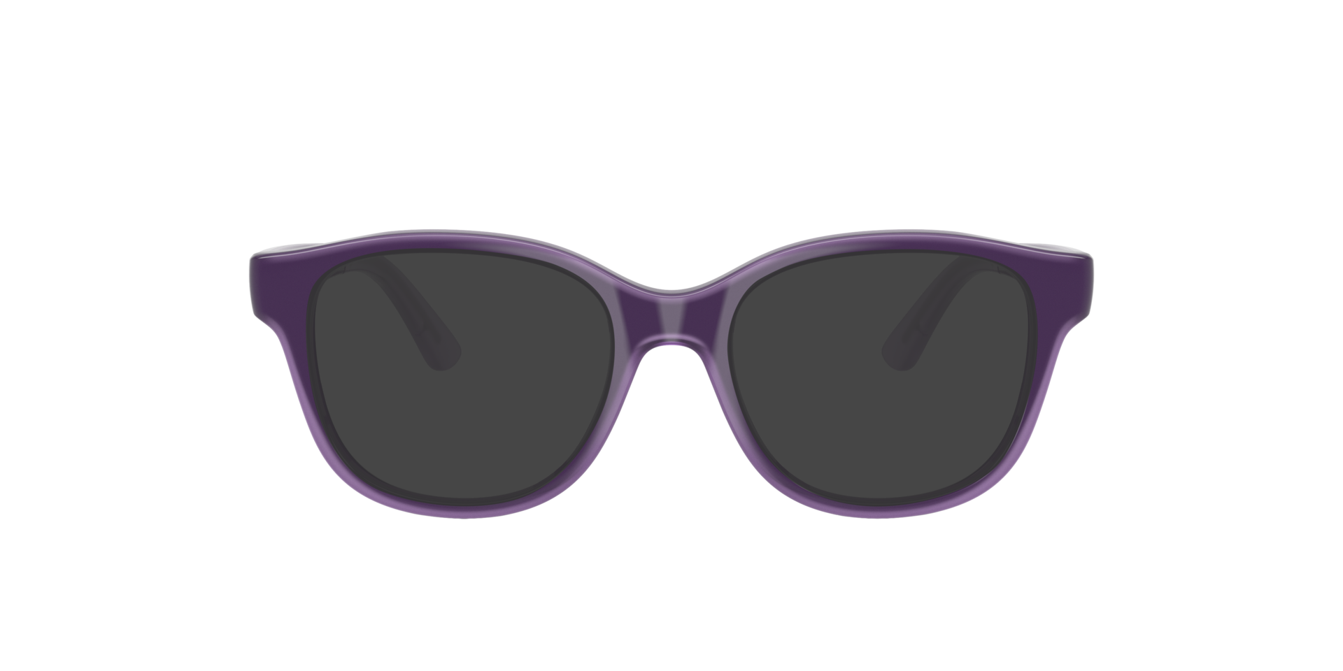 Violet On Transparent Violet RB1950 -  Plastic Sonnenbrillen