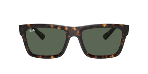Ray-Ban - RB4396, Havana/Black/Transparent Green, Größe: Durchschnittlich