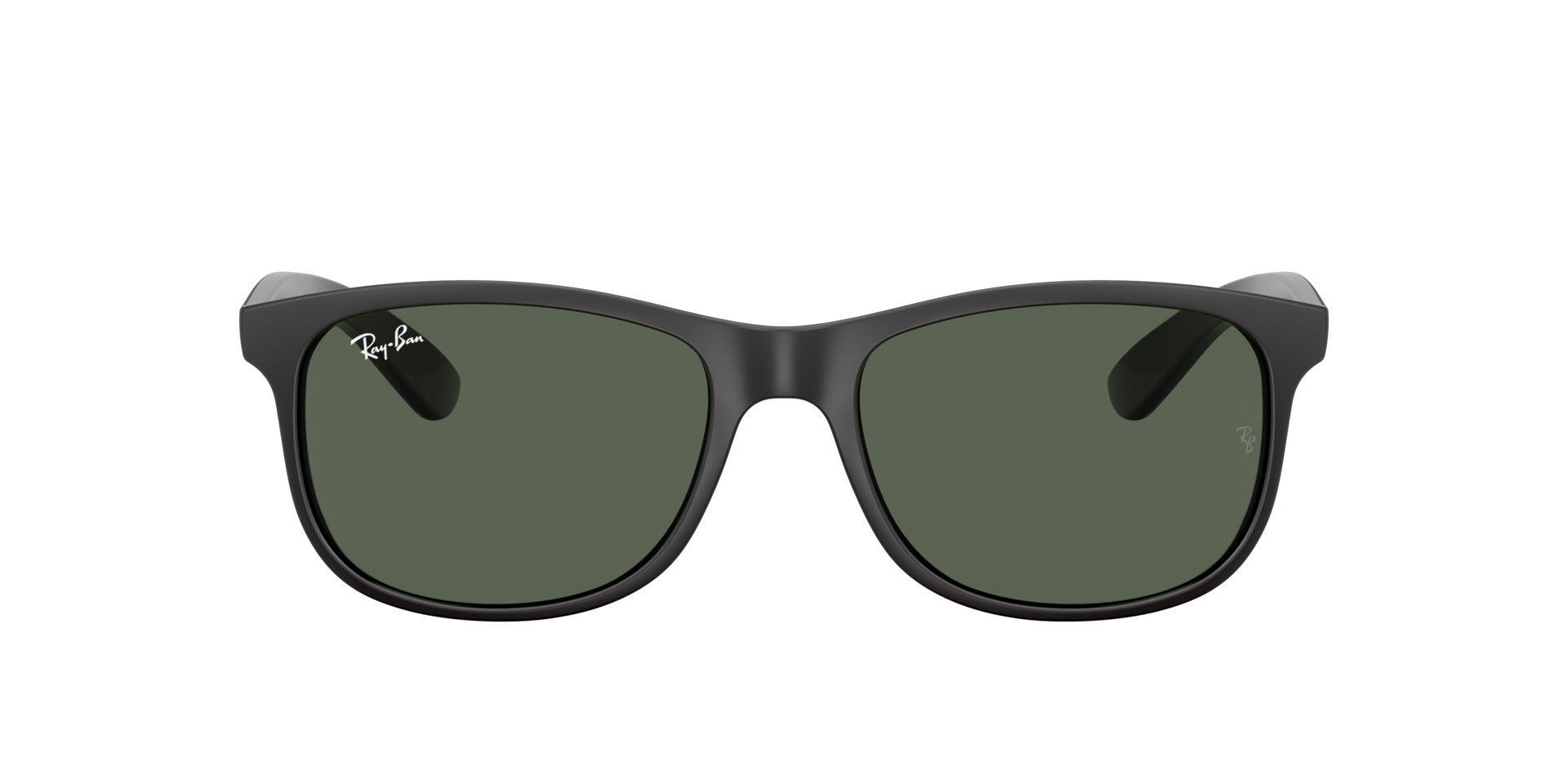 Zwart RB4202 -  Plastic Zonnebrillen