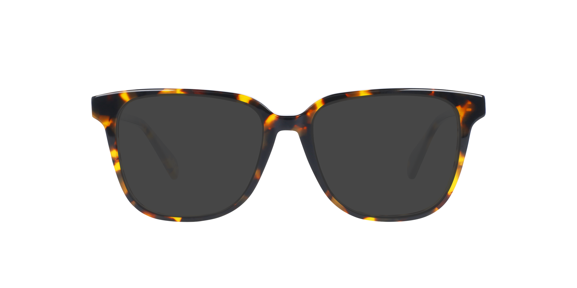 Paxton Garnet Havana AcetaatEyeglass Frames van B24, met getinte lenzen