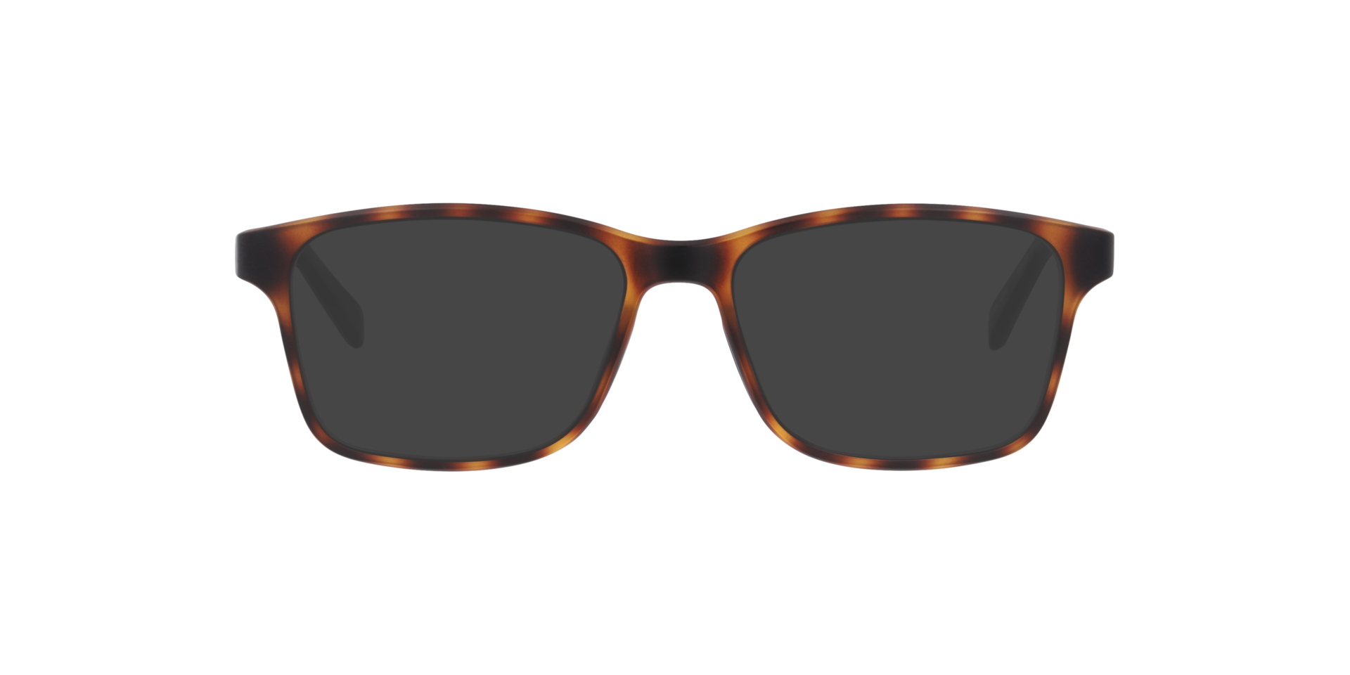 Buffalo Havana KunststofEyeglass Frames van B24, met getinte lenzen
