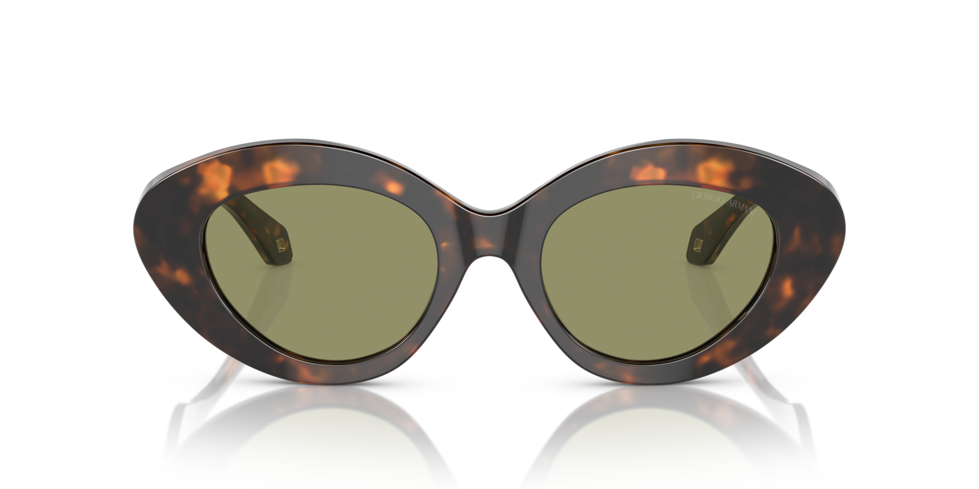 AR8188 Honing Havana AcetaatSunglass Frames van B24, Vooraanzicht
