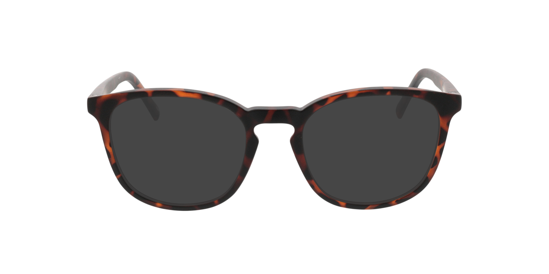 Ivy Havana KunststoffEyeglass Frames von B24, mit getönten Gläsern