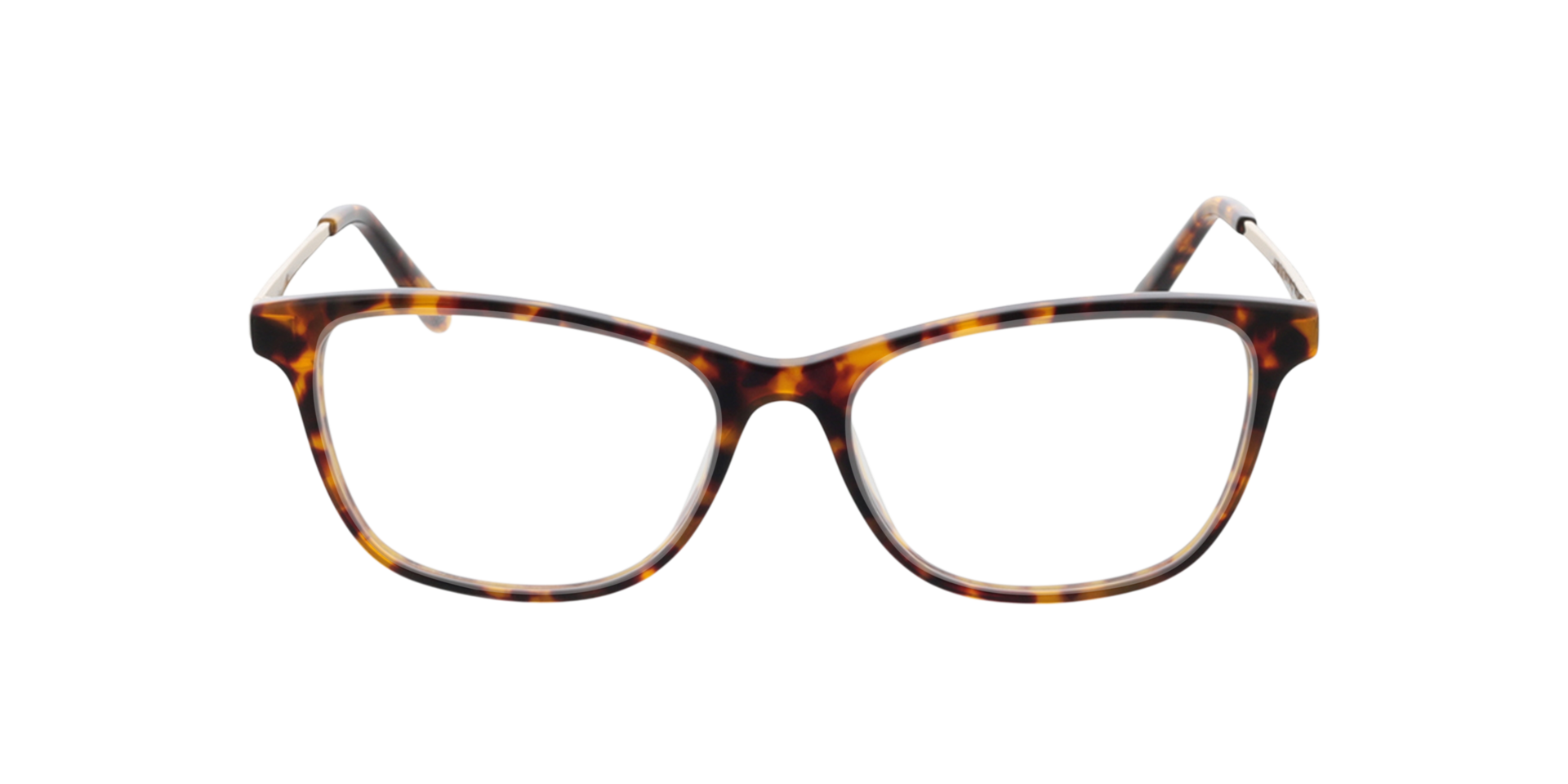 Lola Havana  &  Gold AcetatEyeglass Frames von B24, Vorderansicht