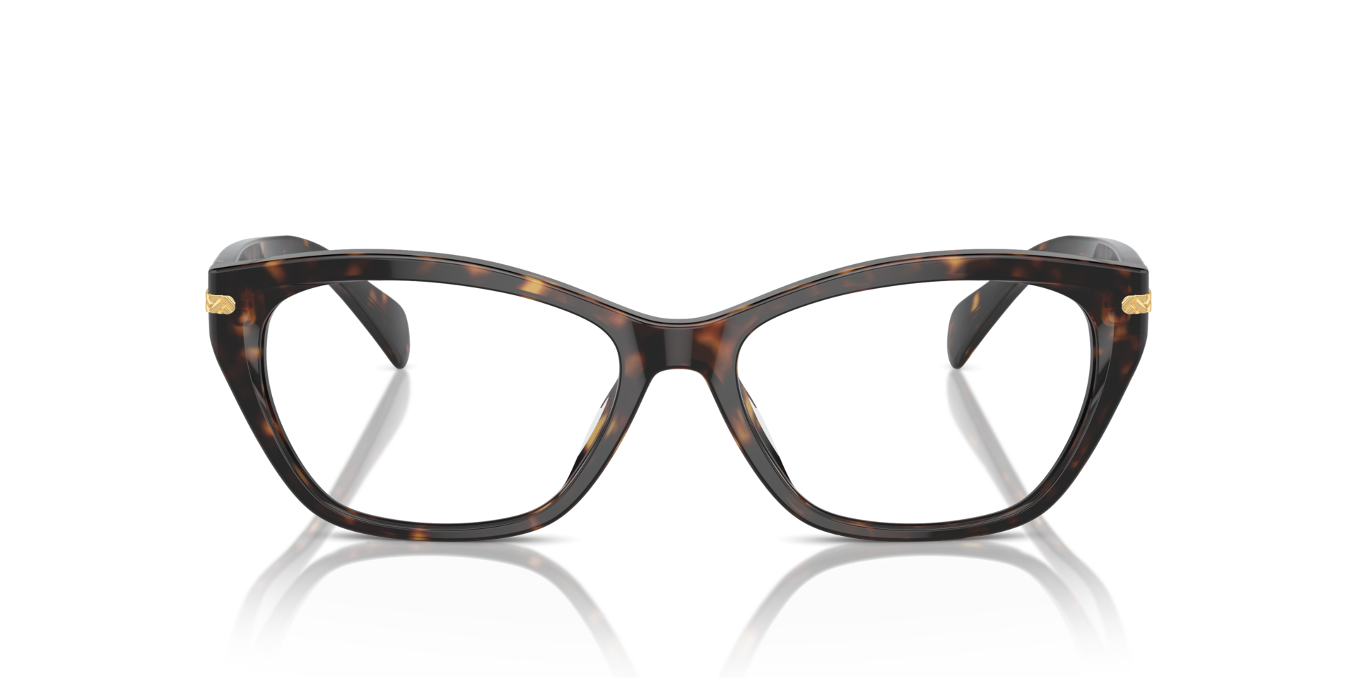 RA7161U Glänzendes Dunkelhavana AcetatEyeglass Frames von B24, Vorderansicht