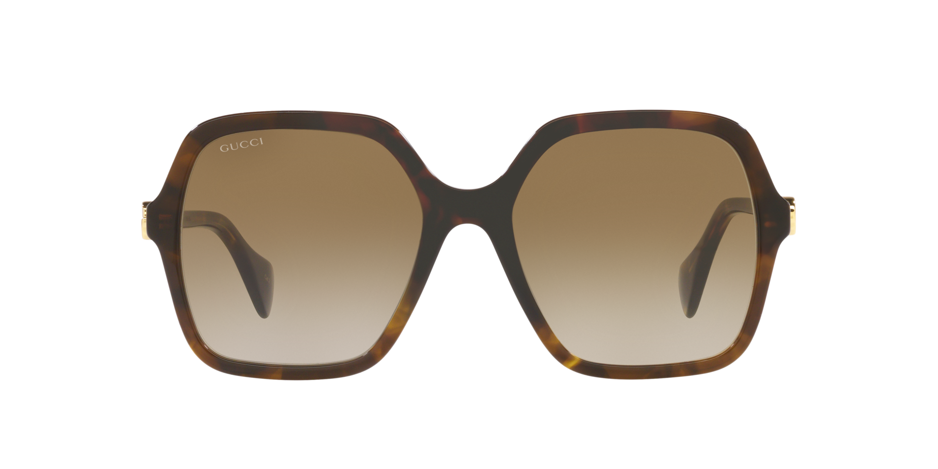 Braun GG1072S -  Acetate Sonnenbrillen