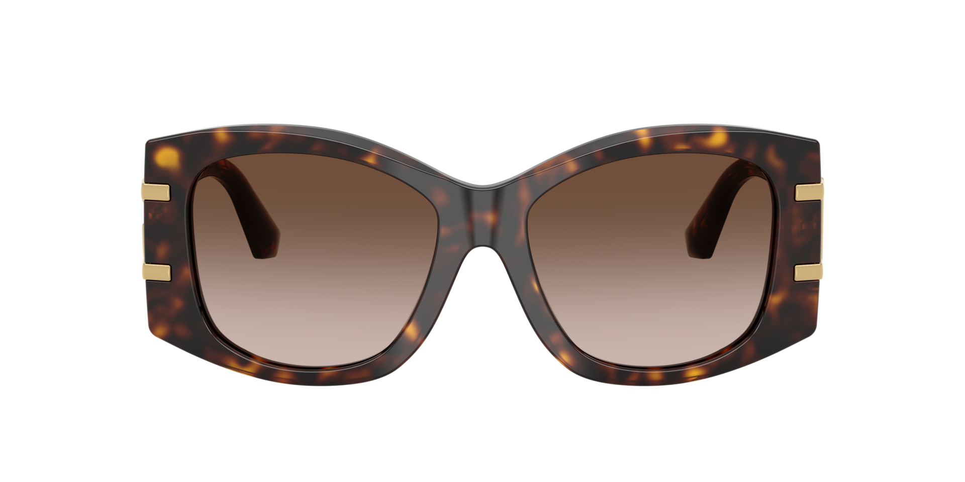 DG4501 Havana AcetaatSunglass Frames van B24, met getinte lenzen