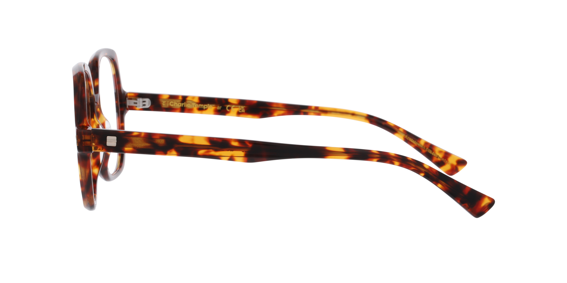 Miro Havana AcetatEyeglass Frames von B24, Seitenansicht