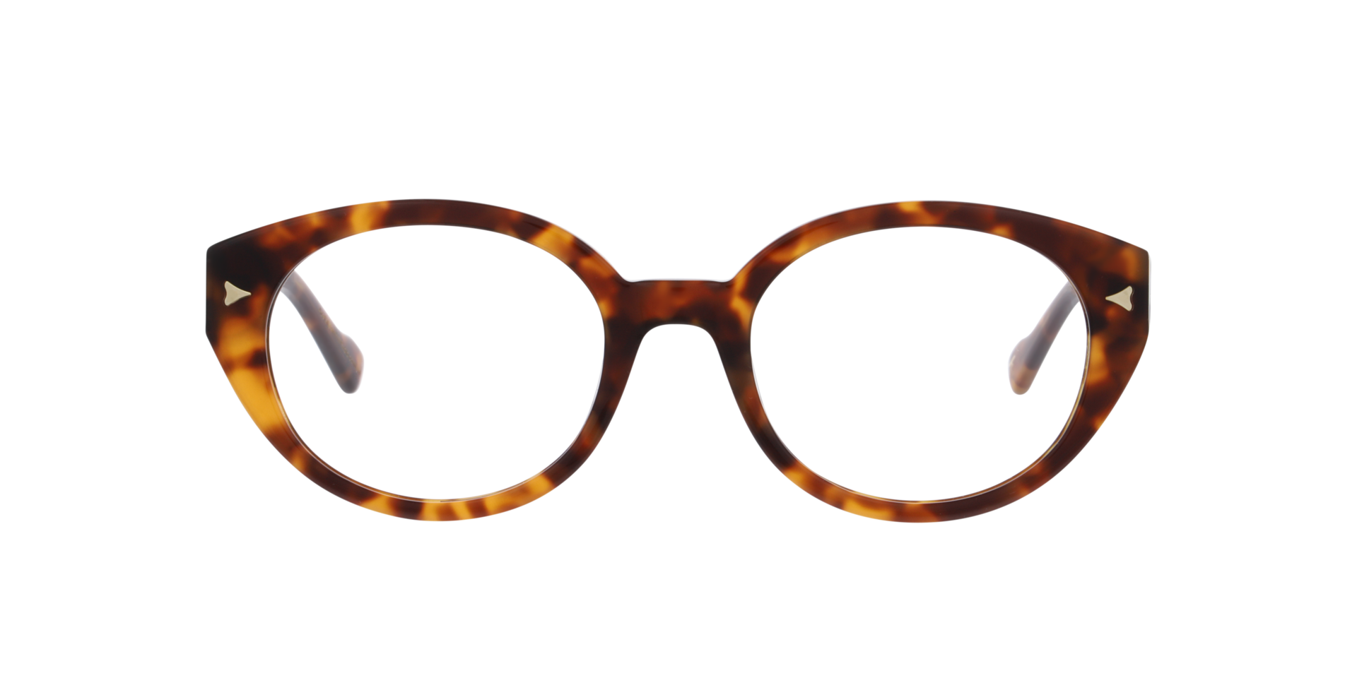 Rika Havana AcetatEyeglass Frames von B24, Vorderansicht