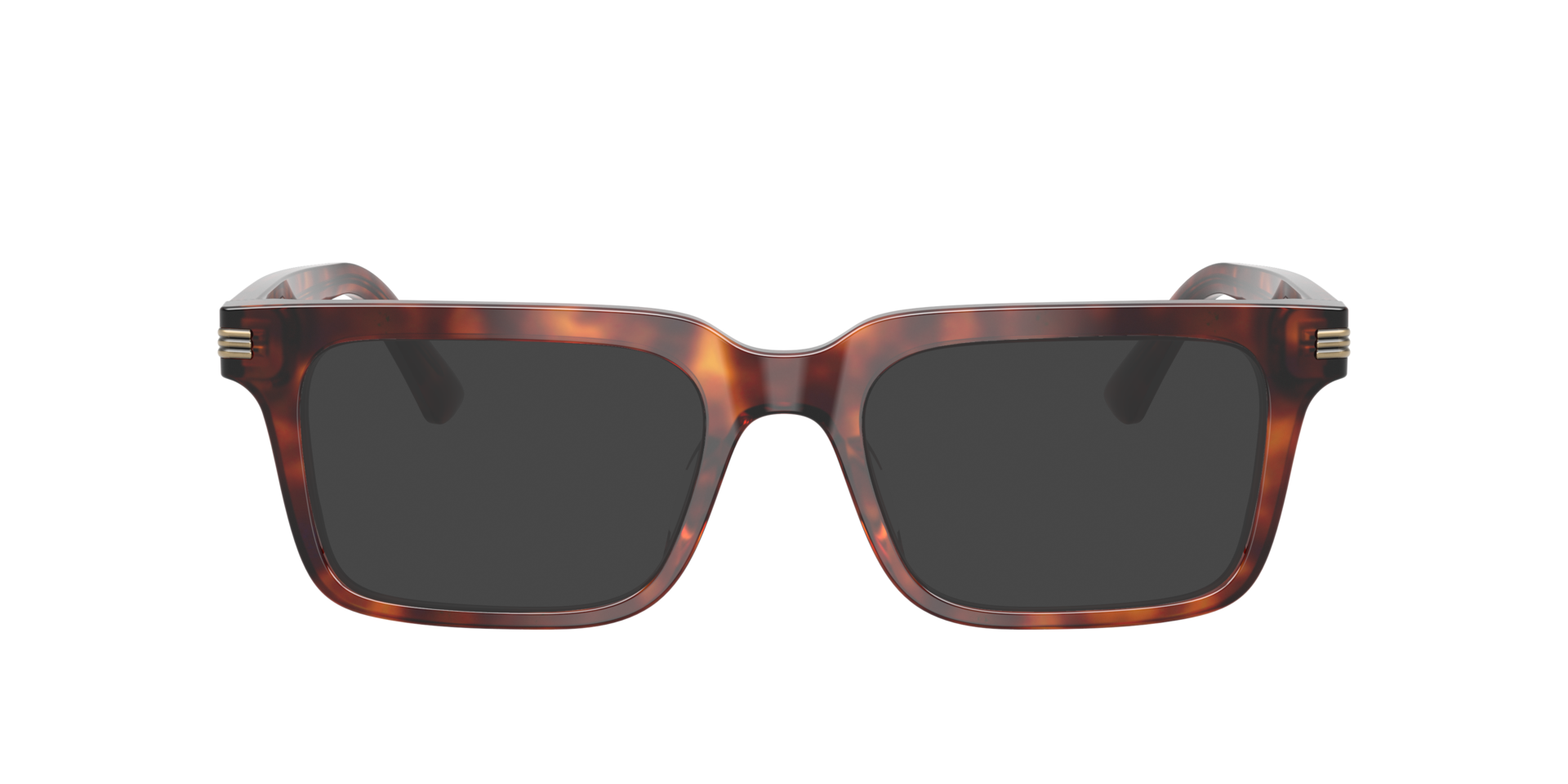 Shiny Havana Red EA3293U -  Acetate Sonnenbrillen