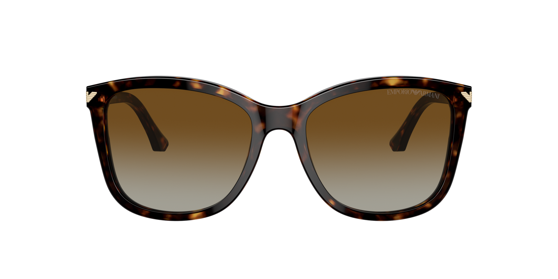 EA4060 Glänzendes Havanna AcetatSunglass Frames von B24, mit getönten Gläsern