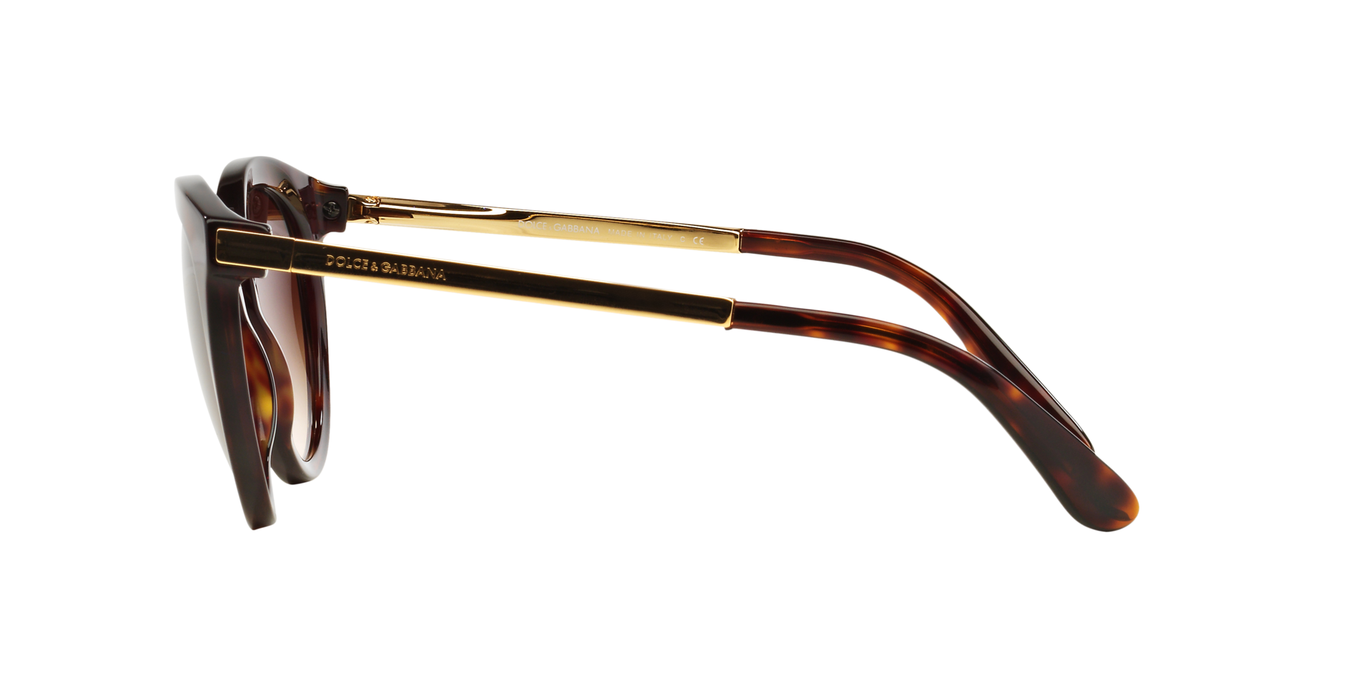 DG4268 Havana AcetatSunglass Frames von B24, Seitenansicht