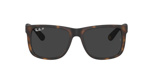 Ray-Ban - RB4165, Herren, Havana/havana/Rubber Black, Größe: Durchschnittlich