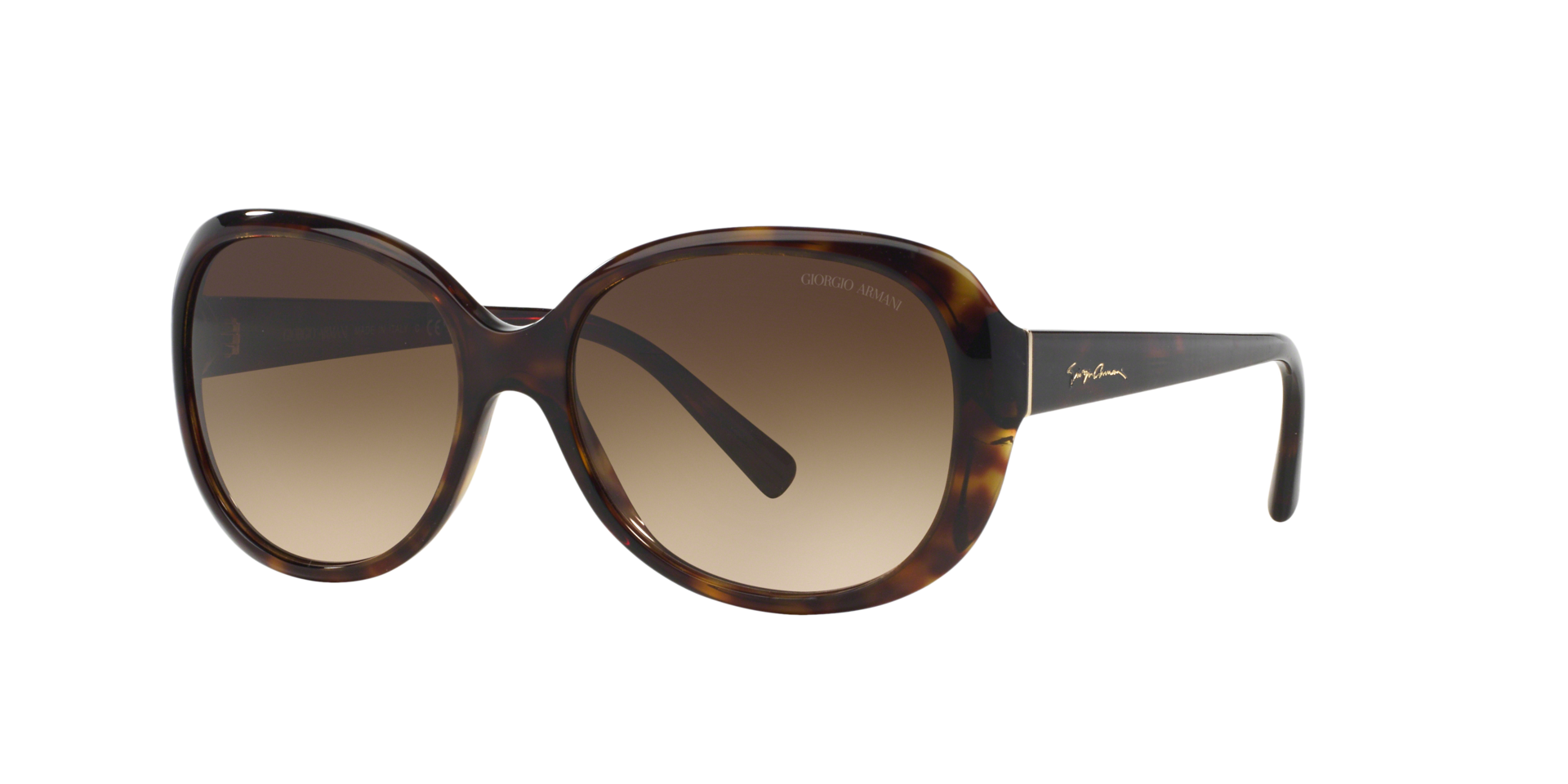 AR8047 Havana AcetaatSunglass Frames van B24, Hoekweergave